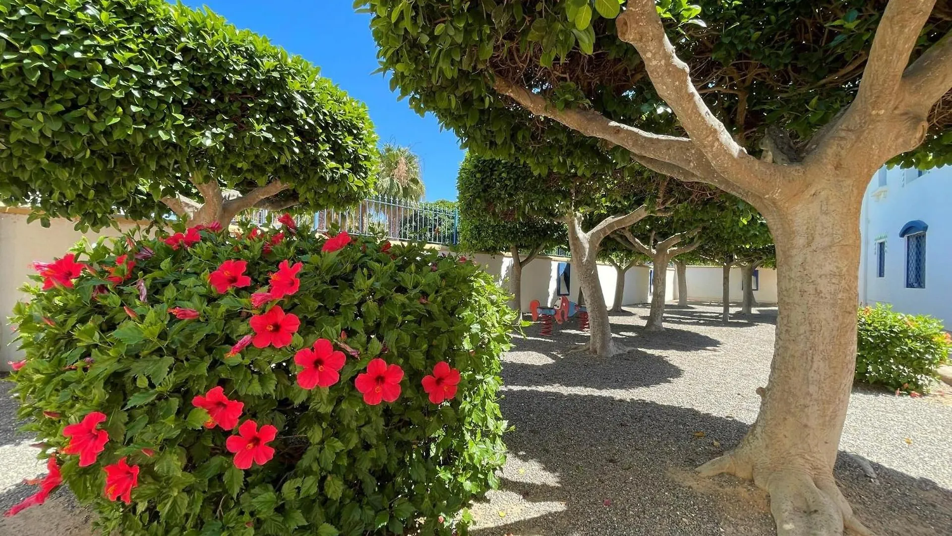 Beautiful Holiday Home In Roquetas De Mar By The Sea